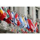 193 United Nations Member Flags - The Flag Lady