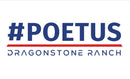3x5 ft PoeTus Flag - The Flag Lady