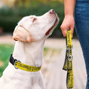 Columbus Crew Pet Leash - The Flag Lady