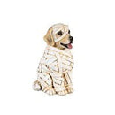 Dog in Halloween Costume Resin Table Decor - The Flag Lady