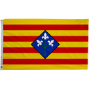 Flag of Lleida - The Flag Lady