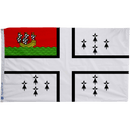 Flag of Nantes - The Flag Lady