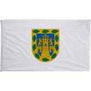 Mexico City Flags - The Flag Lady