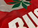 Ohio State Leaf & Nut "Go Bucks" Flags - The Flag Lady