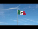 First Mexican National Flag