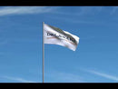 Delaware Ohio Flags