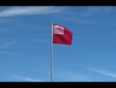 Brandywine Flag