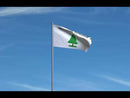 Washington Cruiser's Flags