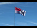 Fort Mercer Flags